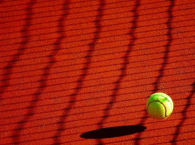 A Comprehensive Guide to Understanding Sports Regulations