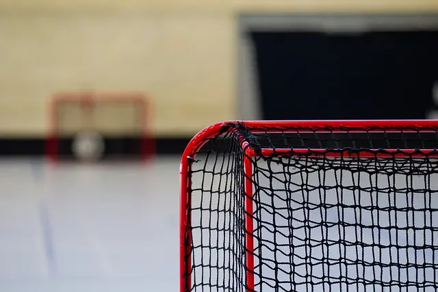 Ice Hockey: Key Techniques for Success