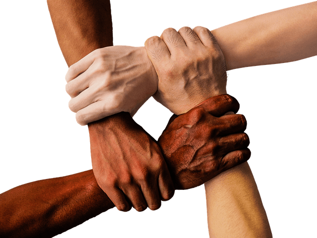 Understanding the Key Elements of Team Sports Communication